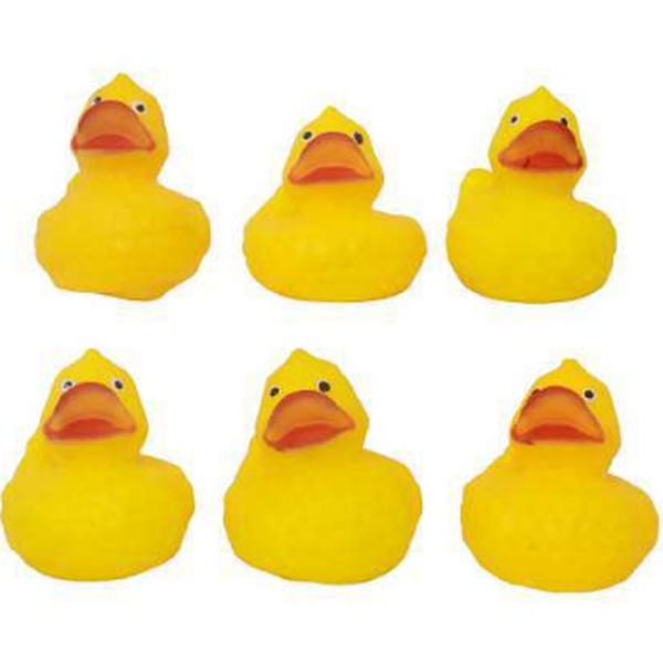 Negi 6 PCS Mix Dana Duck Squeeze Set